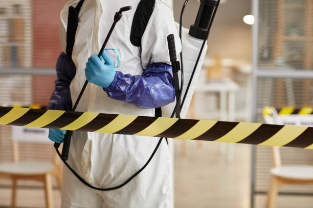 Professional Sewage Cleanup technician working in Mount Royal, NJ
